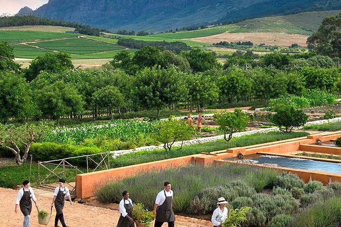 Tastes of Stellenbosch Wine Full Day Tour with Private Transfer - Clos Malverne: wine-and-ice-cream pairing in the Devon Valley