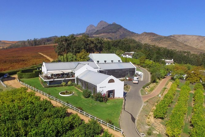 Tastes of Stellenbosch Wine Full Day Tour with Private Transfer - Private tour flexibility, and how to tailor the day