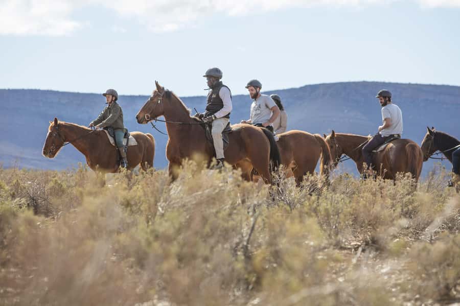 The Best Private Cape Town Safari Day Trip - Aquila Big 5 - Getting to the Reserve: Private Pickup and Why It Matters