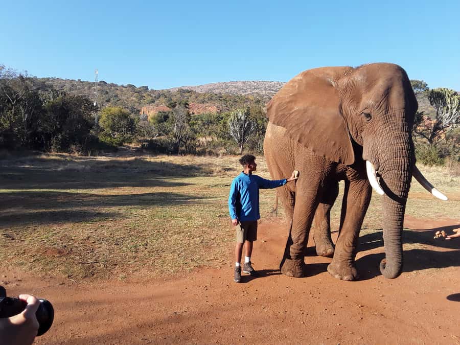 The Elephant and Monkey Sanctuary. - Monkey interaction rules: close-range play, shoulder sits, and photo chances