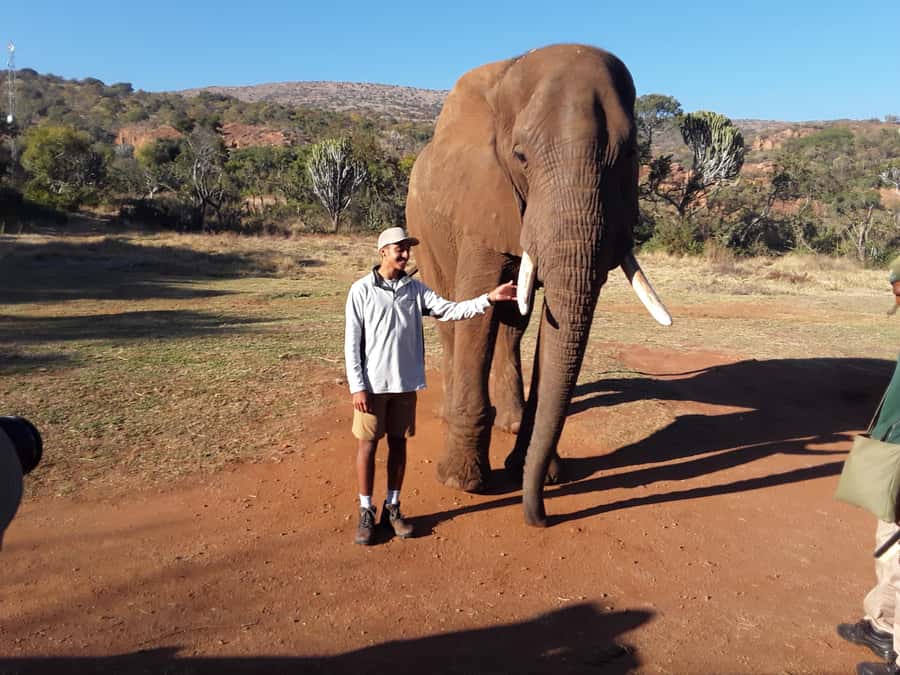 The Elephant and Monkey Sanctuary. - Elephant time: feeding, brushing, and walking in front of the animals