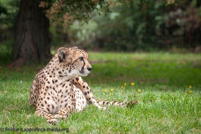 The Private Wildlife Tour - Stop 1 at Tenikwa: what you see and how the tour flows