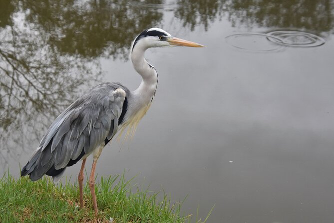 The Private Wildlife Tour - How the photographer guide helps you get better shots fast