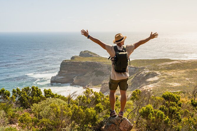 Top 10 Super Tour: Table Mountain, Penguins & Cape of Good Hope Small Group Trip - Pickup Rules and the 8:00 am Start You Must Respect
