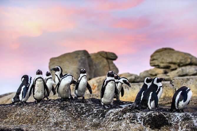 Top 10 Super Tour: Table Mountain, Penguins & Cape of Good Hope Small Group Trip - Bo-Kaap: Color, Walking Time, and a Quick Local History Fix