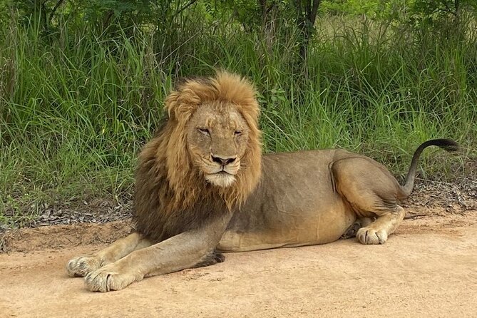 Two Days, One Night Tour: Blyde River to Kruger National Park - How the Panorama Route and Kruger work together in one tight plan