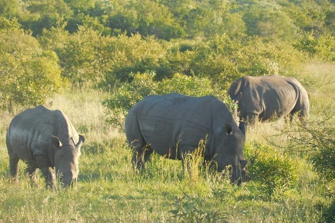 Two Days, One Night Tour: Blyde River to Kruger National Park - What “good value” really means for this price