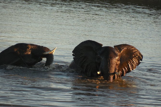 Two Days, One Night Tour: Blyde River to Kruger National Park - The guiding style that matters on safari, not just in the van