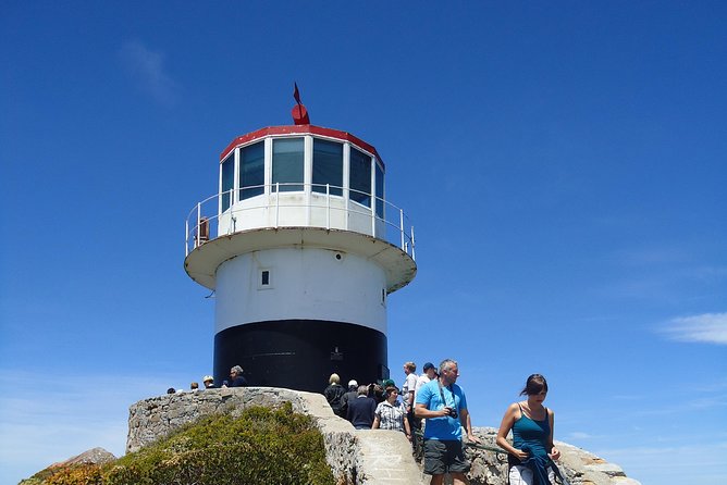 Ultimate Cape Point Tour from Cape Town - Full Day - Cape of Good Hope Nature Reserve and the Cape Point Lighthouse hike