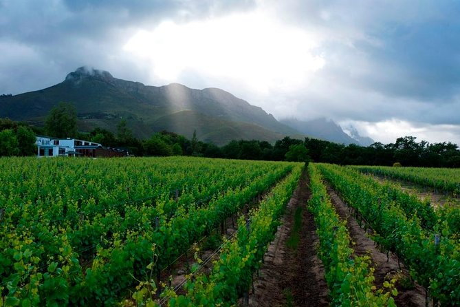 Vine Hopper: Hop-On Hop-Off Wine Tour - Eastern Route - Timing, Pickup Points, and How to Choose Your Departure