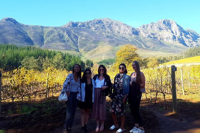 Vine Hopper: Hop-On Hop-Off Wine Tour - Northern Route - How the hop-on hop-off really works (and why that matters)