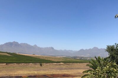 Vine Hopper: Hop-On Hop-Off Wine Tour – Northern Route