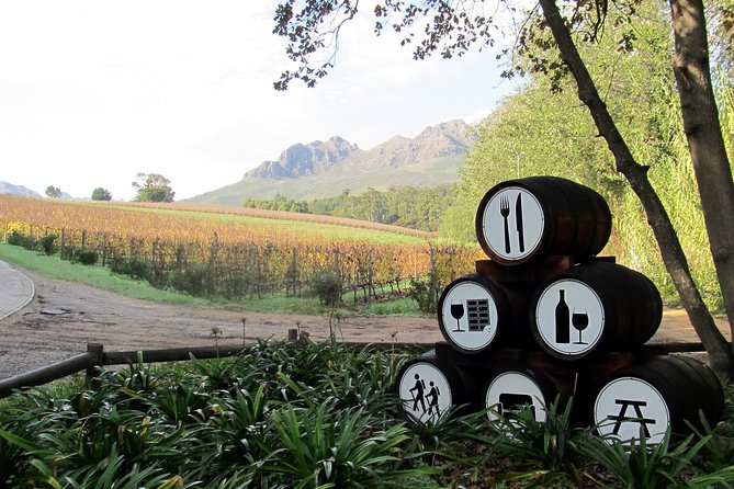 Vine Hopper: Hop-On Hop-Off Wine Tour - Southern Route - What the praised hosts do right on the day