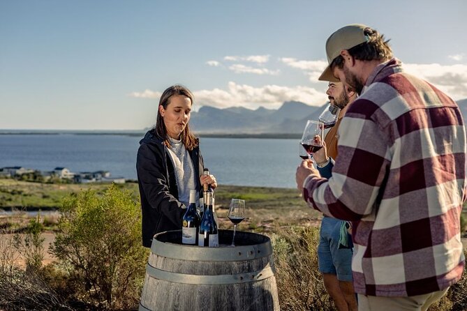 Vineyard Safari and Wine Tasting in Hermanus with Guide - Price and Value: What $26.02 Really Buys You