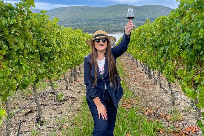 Vineyard Safari and Wine Tasting in Hermanus with Guide - Practical Tips That Help You Enjoy It More
