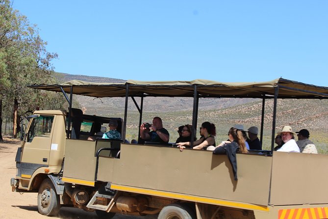 Visit African Big 5 Safari Aquila Game Reserve from Cape Town - full Day - Price, Value, and What You’re Really Paying For
