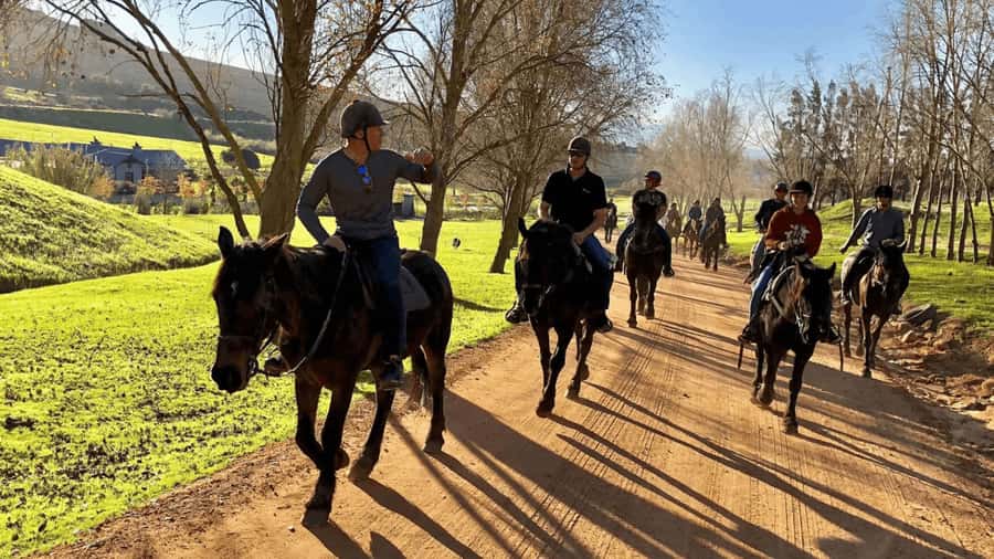 Vrede en Lust Wine Estate:1-Hour Horseback Riding Experience - Entering Vrede en Lust Wine Estate, with the right mindset for a 1-hour ride