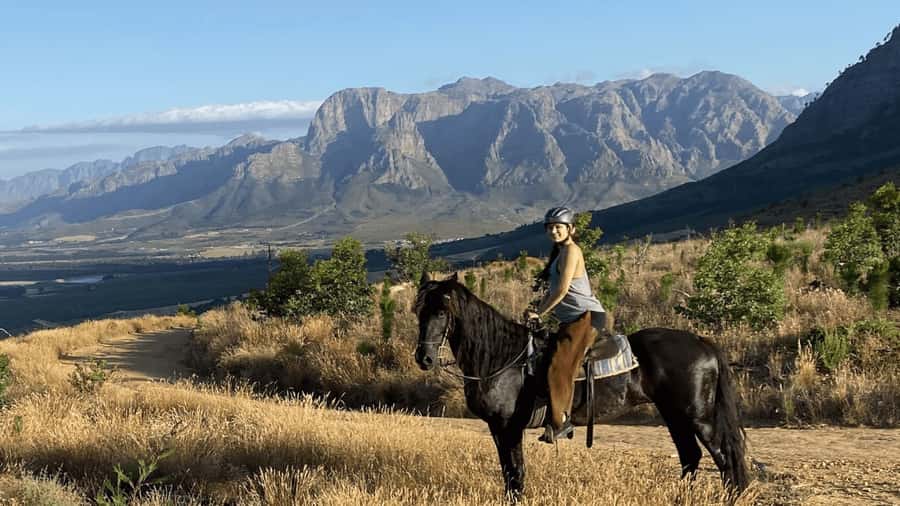 Vrede en Lust Wine Estate:1-Hour Horseback Riding Experience - Meeting your horse, learning the basics fast, and settling into the right pace