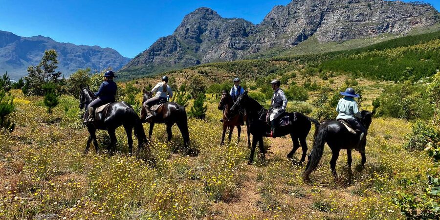 Vrede en Lust Wine Estate:1-Hour Horseback Riding Experience - Your group size, rider limits, and why those details affect your comfort