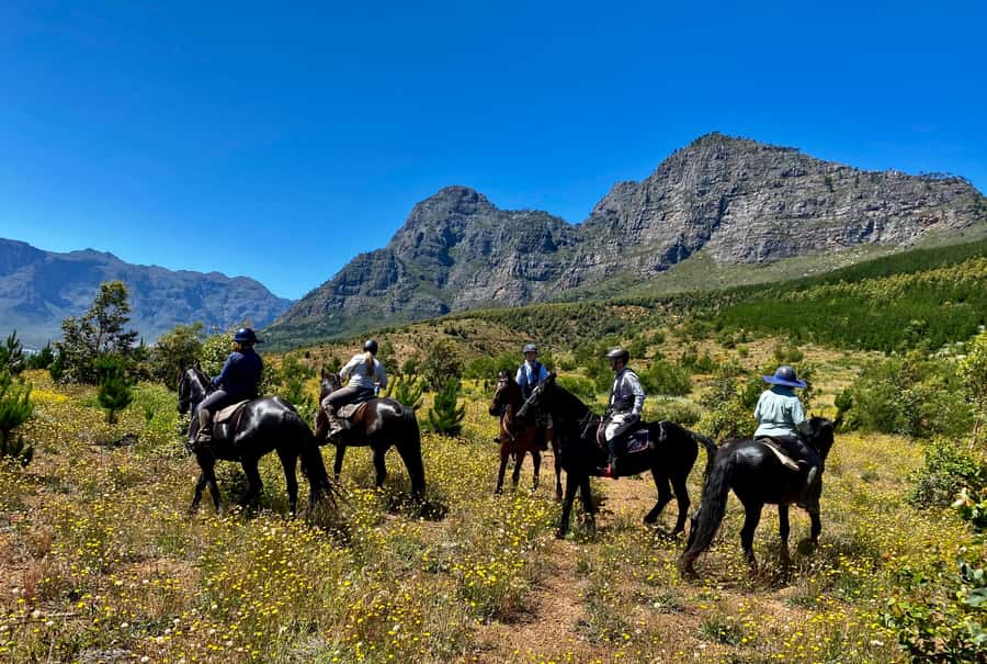 Vrede en Lust Wine Estate:1-Hour Horseback Riding Experience - Weather dependent, and how to be flexible without losing your day