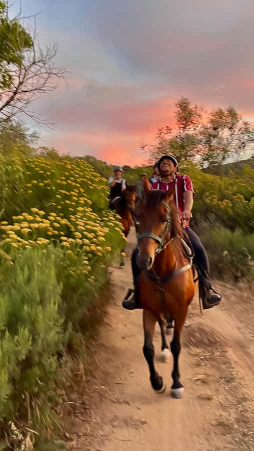 Vrede en Lust Wine Estate:1-Hour Horseback Riding Experience - Who should book this horseback ride, and who might want to pass