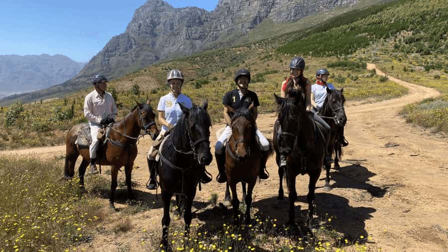 Vrede en Lust Wine Estate:1-Hour Horseback Riding Experience - Safety briefing and helmets: what this experience does right before you ride