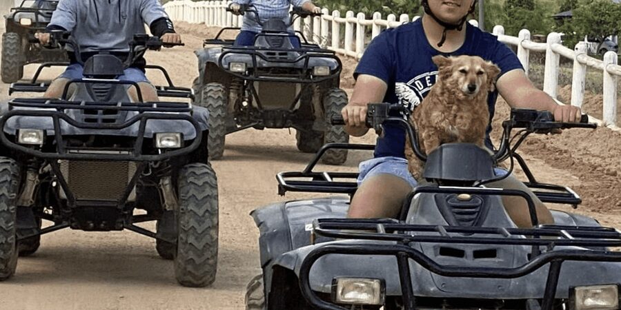 Vrede en Lust Wine Estate: 1H Quad Bike Trail - Price and value: $71 for an hour with gear and a permit