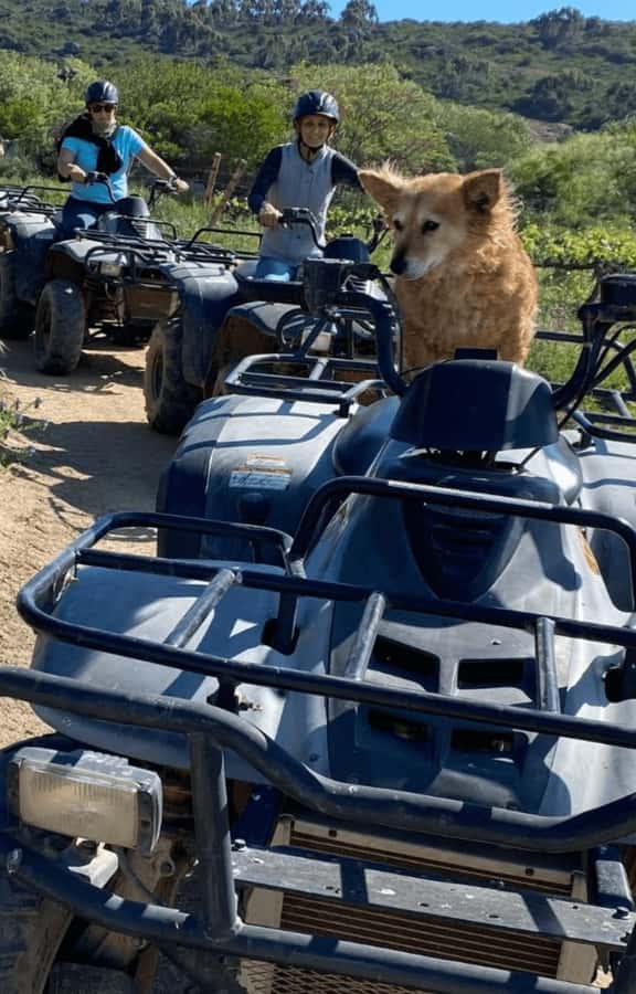 Vrede en Lust Wine Estate: 1H Quad Bike Trail - What to pack and wear for a comfortable, camera-ready hour