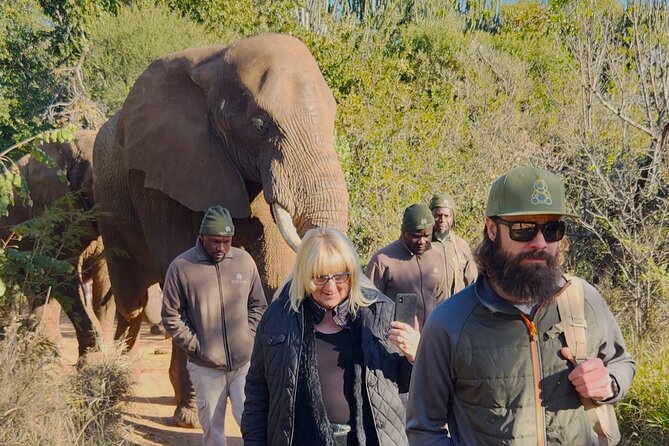Walk with Elephants Experience plus Monkey Forest Walk - Timing and Getting There From Pretoria and Beyond