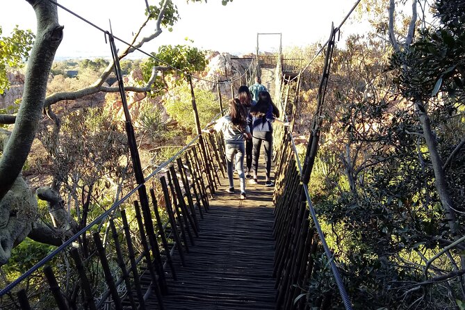 Walk with Elephants Experience plus Monkey Forest Walk - Price and Value: What About $343 Per Person Really Means