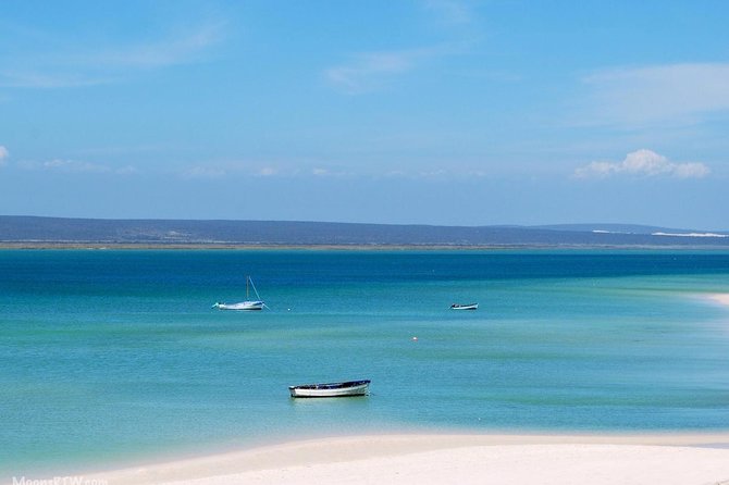 West Coast Wonders Full Day Tour with Private Transfer - Langebaan lunch choices, Geelbek restaurant or Pearly’s by the beach