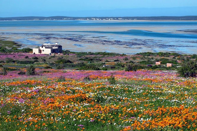 West Coast Wonders Full Day Tour with Private Transfer - Who this tour suits best, and who might not love it