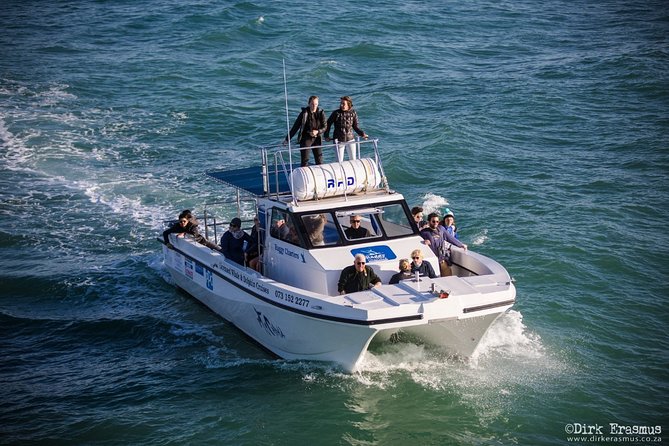Whale, Dolphin & Penguin Island Cruise - Conservation lessons you can carry home, with a measurable approach