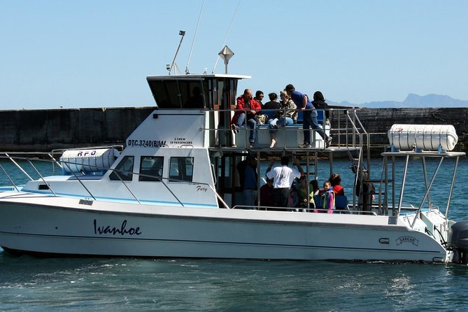 Whale Watching from Gansbaai - Price and value: what you pay, what you get, and what to budget for