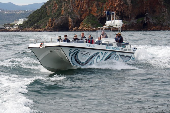 Whale Watching Knysna - Close Encounter Experience Ocean Odyssey - Group Size and Comfort: Maximum 25 People