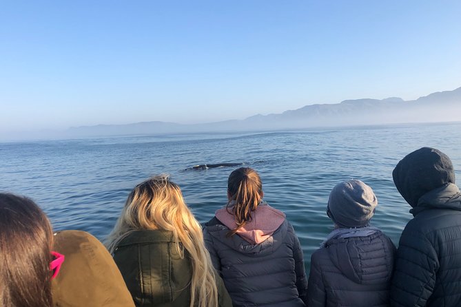Whale Watching Tour in Hermanus with Hotel Pickup - Key things that make this tour click