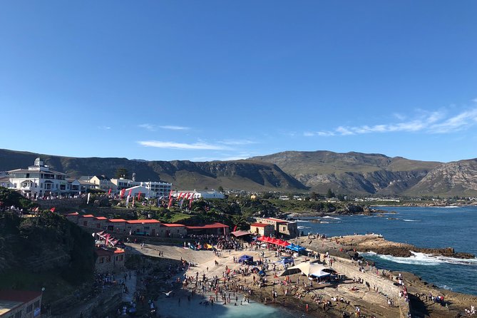 Whale Watching Tour in Hermanus with Hotel Pickup - Hermanus town stop: where your day becomes more than just whales