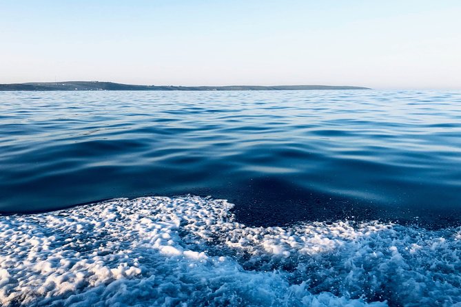 Whale Watching Tour in Hermanus with Hotel Pickup - What to pack and how to prepare (so the day stays comfortable)
