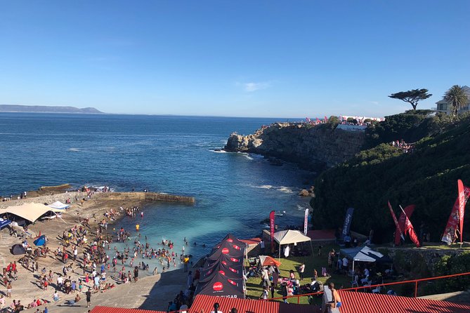 Whale Watching Tour in Hermanus with Hotel Pickup - The heart of the day: boat time in Hermanus (what you’re really signing up for)