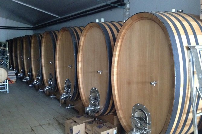 Wijntoer - Reserve tour with a winemaker! - A Winemaker Day, Not Just a Wine Stop Circuit