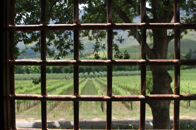 Wijntoer - Reserve tour with a winemaker! - Price and Value: What You Really Get for $126.44
