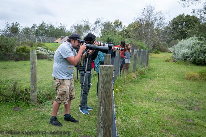 Wild Cat Experience Tour - Where Tenikwa’s wild cat tour fits on the Garden Route