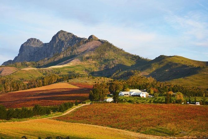Wine Beer and Biltong Safari - Stellenbosch - A Stellenbosch Day That Mixes Tastings With Safari-Style Moments