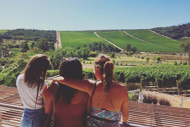Wine Beer and Biltong Safari - Stellenbosch - The Included Braai, and How to Treat It Like a Real Meal
