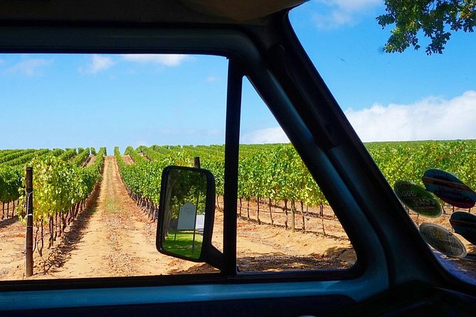 Wine Beer and Biltong Safari - Stellenbosch - Price and Value: What $105.62 Really Buys You