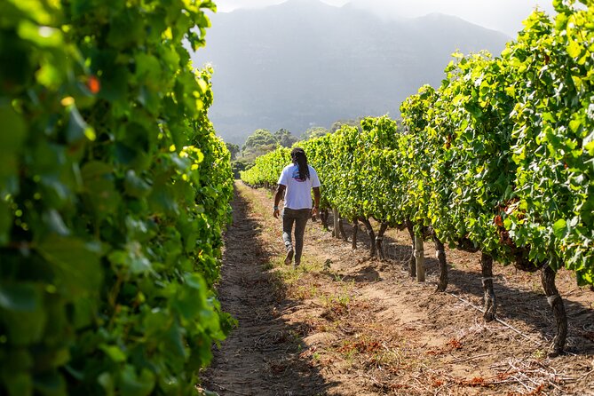 Wine Beer and Biltong Safari - Stellenbosch - Wine Farms and the Wine and Biltong Pairing Session