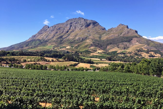 Wine tasting - Boutique farms - Key Highlights You Will Feel Immediately