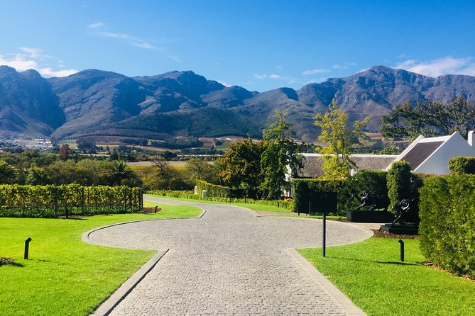 Wine tasting - Boutique farms - Why a Luxury Stellenbosch Tasting Feels Like a Proper Day Out
