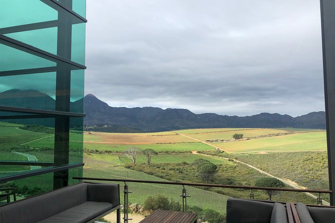 Wine tasting - Boutique farms - Food Pairings That Make the Tasting More Than a Drink