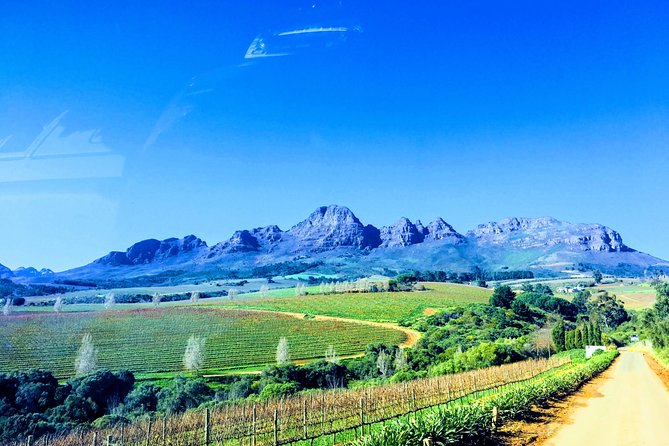 Wine tasting - Boutique farms - Pickup, Group Size, and Why Private Changes Everything